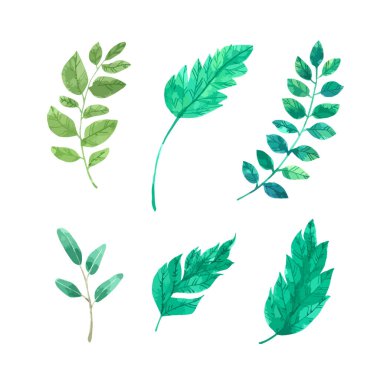 Suluboya koleksiyonunu beyaz arkaplanda yalıtılmış bırak, tebrik kartı, duvar kağıdı, kartpostallar, ürünler, paketleme ve daha fazlası için el çizimi yap