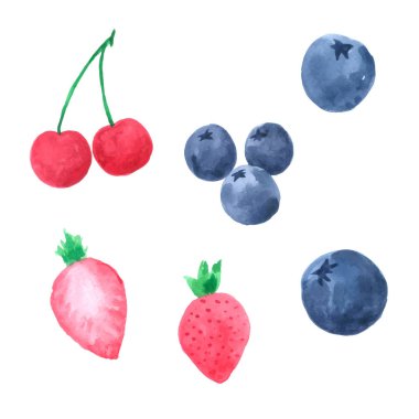 Meyve suluboya koleksiyonu El çizimi