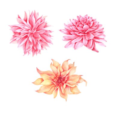 Çiçek elementi suluboya düğün çiçeği