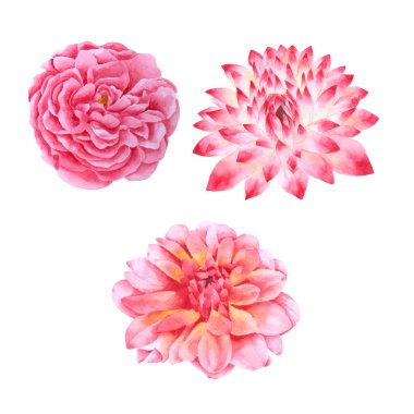 Çiçek elementi suluboya düğün çiçeği