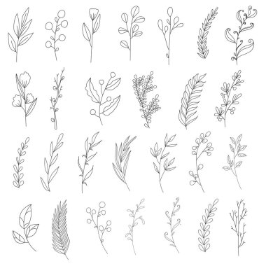 El çizimi çiçek ve yaprak