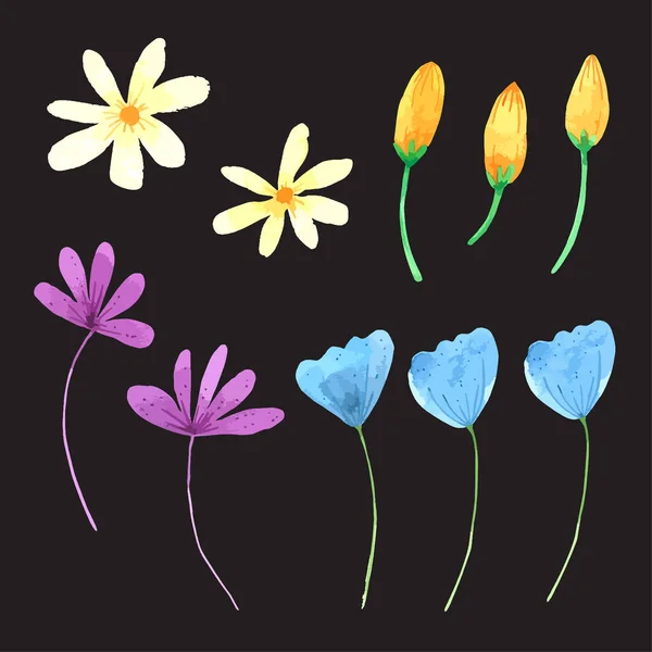 Virág Elem Akvarell Esküvői Virág — Stock Vector