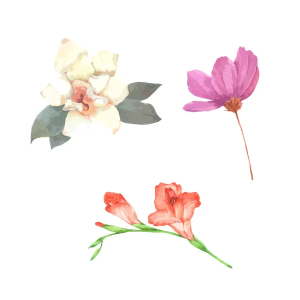 花の要素水彩結婚式の花 — ストックベクタ