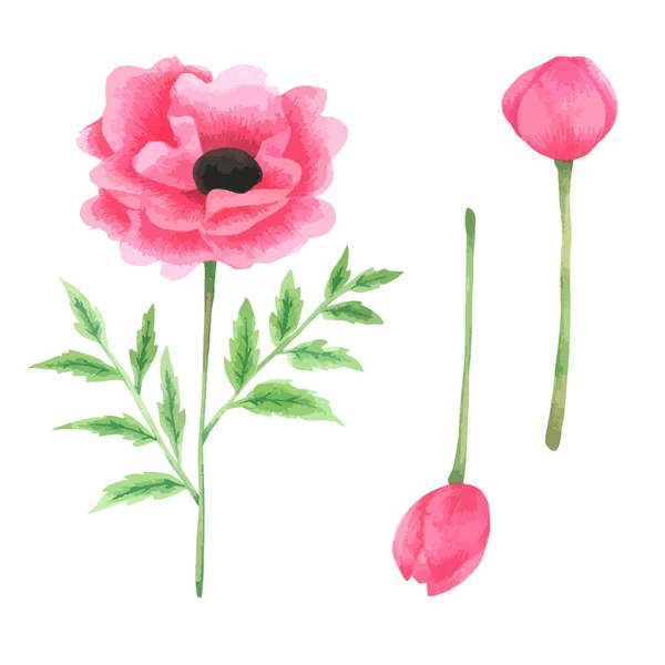 Flower Element Aquarel Bruiloft Bloem — Stockvector