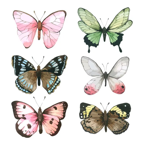 蝴蝶水彩画系列 白色背景 一套为贺卡 明信片 包装等绘制的蝴蝶手绘 — 图库矢量图片