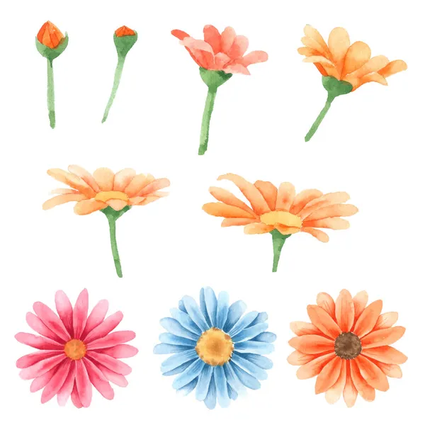 Kwiaty Akwarela Kolekcja Ręcznie Rysowane Kartkę Okolicznościową Karta Weselna Etui — Wektor stockowy