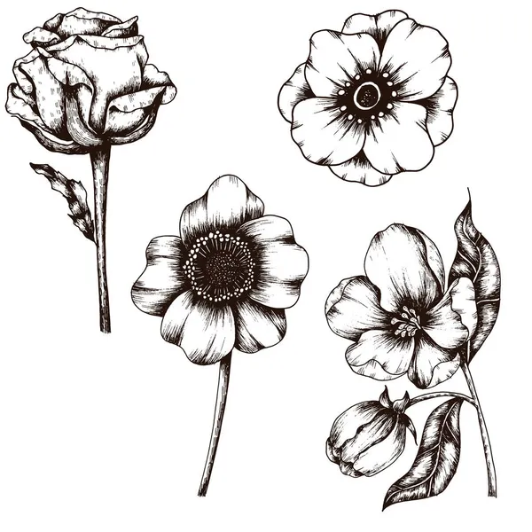 Λουλούδι Και Φύλλα Σκίτσο Συλλογή Τέχνης Χέρι Ζωγραφισμένα Vintage Στυλ — Διανυσματικό Αρχείο