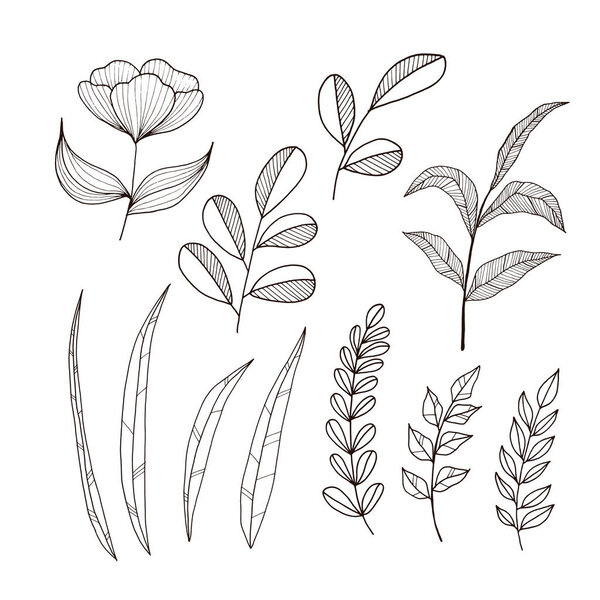 Художественная коллекция "Цветок и лист"