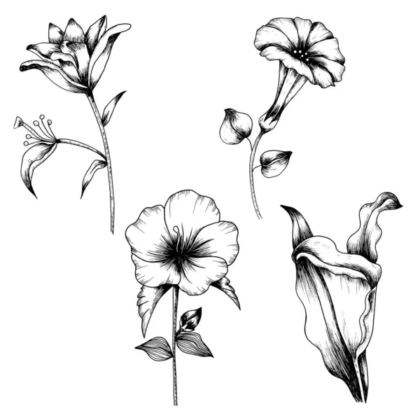 花と葉のスケッチアートコレクション手描きの絵画ヴィンテージスタイル — ストックベクタ