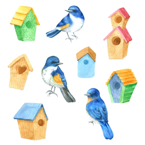 Pájaros Casa Acuarela Mano Pintura — Vector de stock