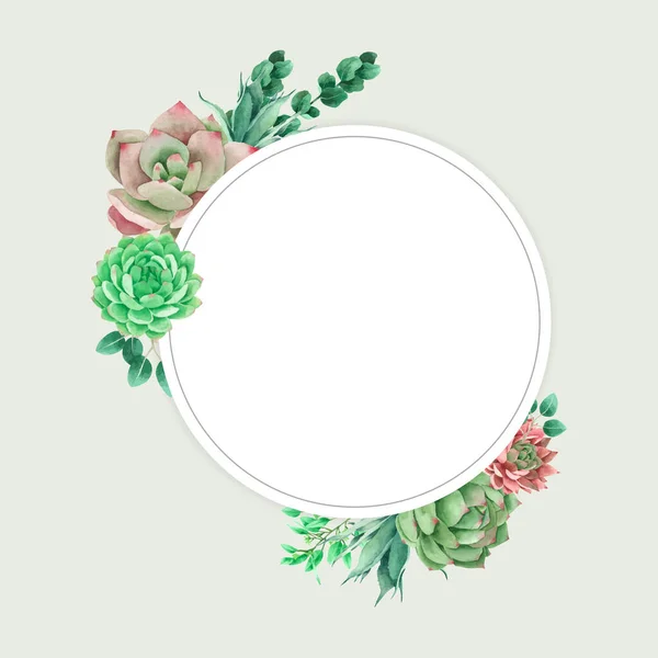 Cactus Succulent Empty Frame Design Watercolour Painted — Stock Vector
