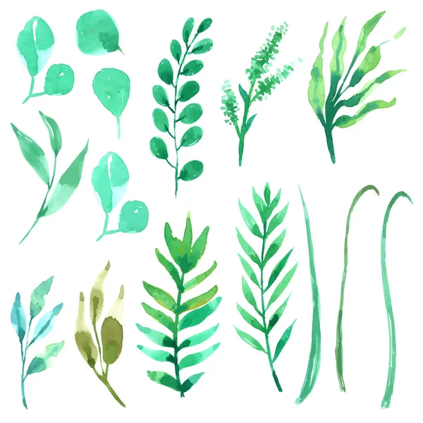 Green Leaf Element Watercolor — Stock Vector