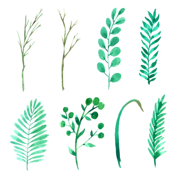Green Leaf Element Watercolor — Stock Vector