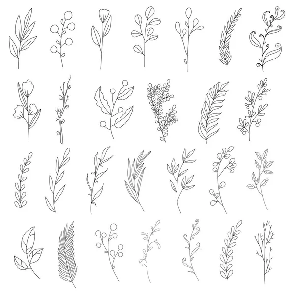 Handtekening Schets Bloem Blad — Stockvector