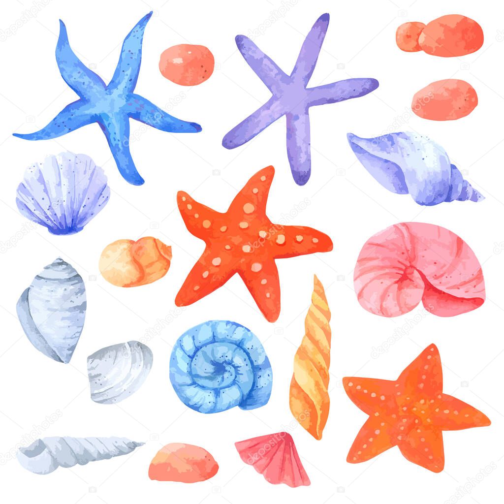 Shellfish and Starfish watercolor collection on white background , Hand drawn for Kids, Greeting Card , Cases design, Postcards, Product, Notebook and more