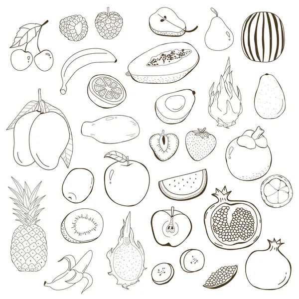 Collection Fruits Dessinés Main — Image vectorielle