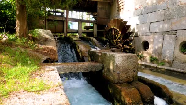 Watermolen Turbigo Italië Gemaakt Herfst Met Een Panoramisch Schot — Stockvideo