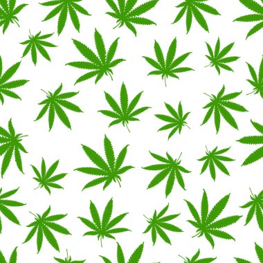 Beyaz arka planda kenevir yaprakları olan kusursuz bir desen. Vektör illüstrasyonu.