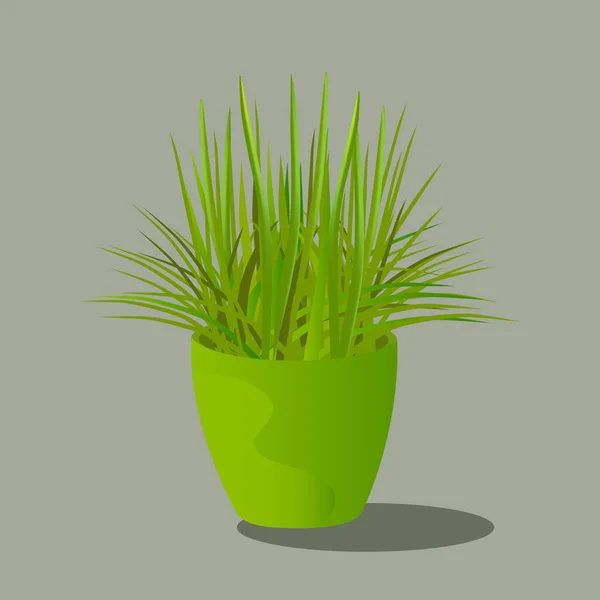 Vektorillustration Einer Blume Grünen Topf Zimmerpflanze — Stockvektor