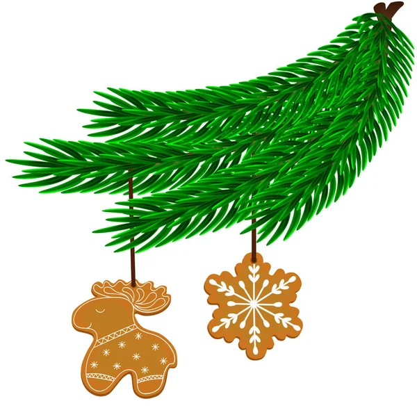 Geyik şeklinde noel kurabiyeleri ve beyaz arka planda izole edilmiş bir kar tanesi olan ladin dalı. Vektör illüstrasyonu.