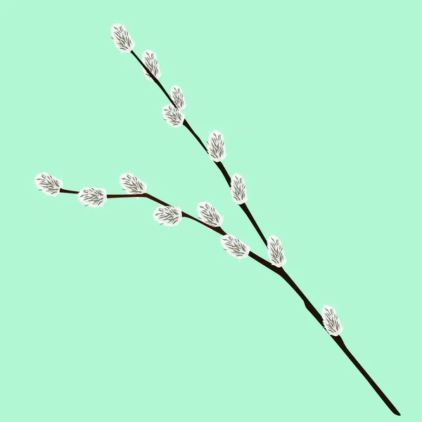 Mavi arka planda söğüt dalı izole edilmiş. Vektör illüstrasyonu.