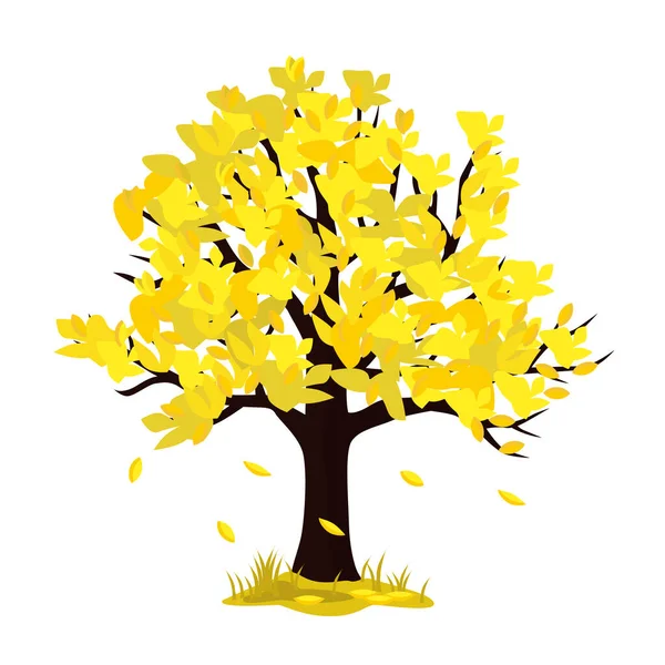 Векторная Иллюстрация Дерева Осенью Белом Фоне — стоковый вектор