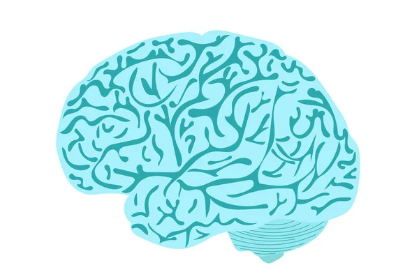 Blue Human Brain White Background — Stock Vector
