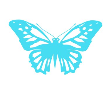 Vector illustration of a light blue butterfly isolated on a white background.