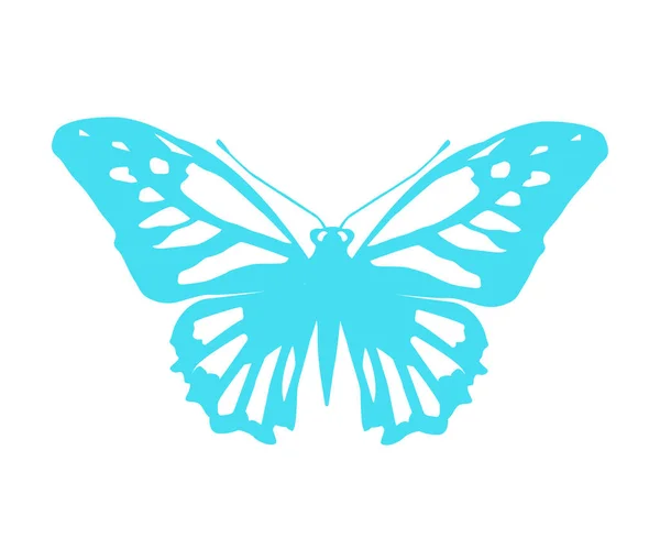 Vector Illustration Light Blue Butterfly Isolated White Background — Stockový vektor