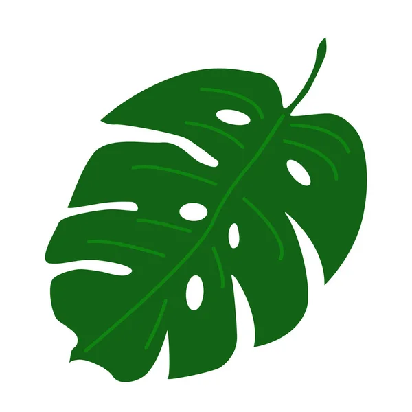 Vector Illustration Palm Leaf Isolated White Background —  Vetores de Stock