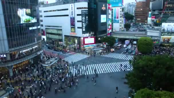Najlepszy Widok Shibuya — Wideo stockowe