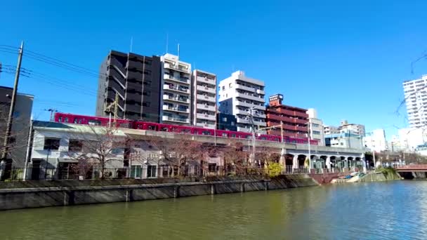 Belleza Del Río Ooka — Vídeos de Stock