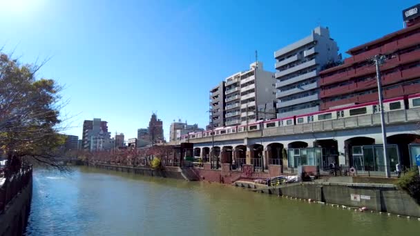 奥冈河的美景 — 图库视频影像