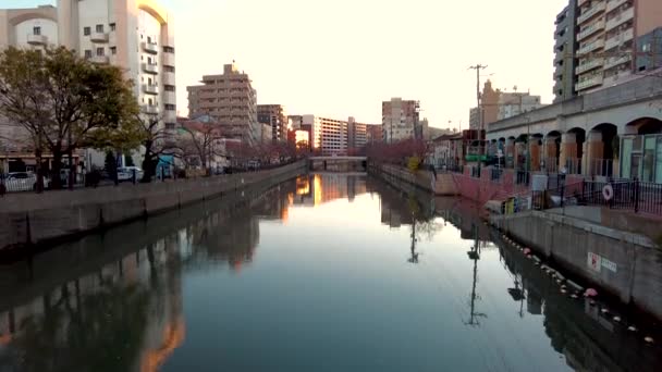 奥冈河的美景 — 图库视频影像