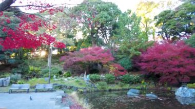 Yokohamashi Nogeyama Parkının Güzeli