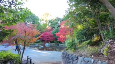 Yokohamashi Nogeyama Parkının Güzeli