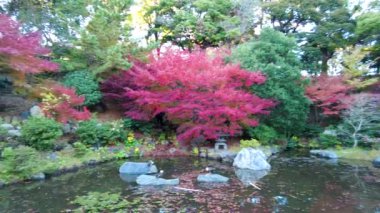 Yokohamashi Nogeyama Parkının Güzeli