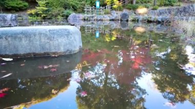 Yokohamashi Nogeyama Parkının Güzeli