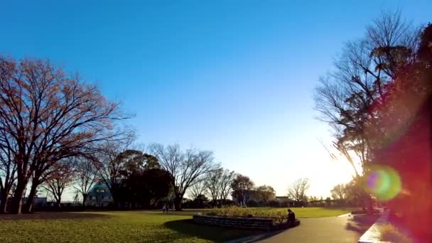 요코하마노게야마 공원의 아름다움 — 비디오
