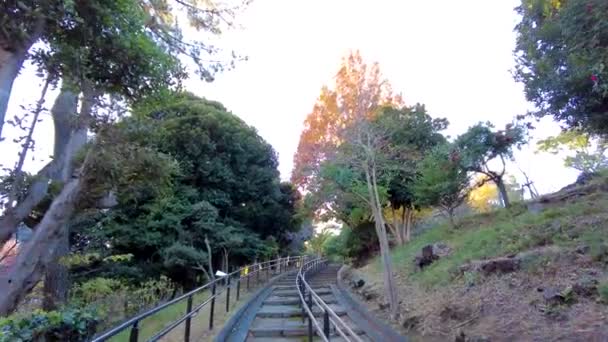 大林野山公园的美丽 — 图库视频影像