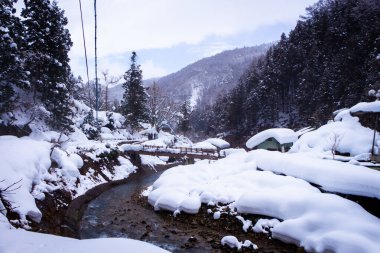 Kar Maymunları Kaplıcalarda Sırılsıklam