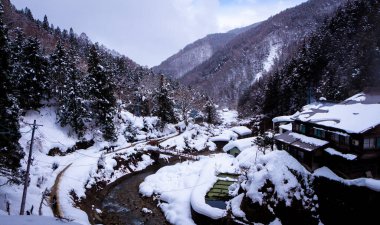 Kar Maymunları Kaplıcalarda Sırılsıklam
