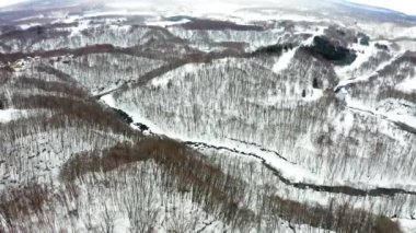 Niseko 'daki güzel kış