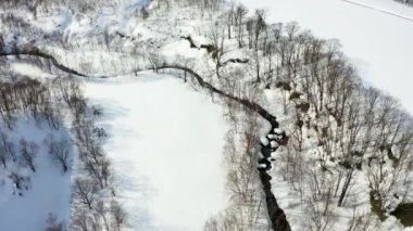 Niseko 'daki güzel kış