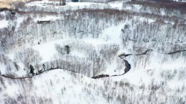 Niseko 'daki güzel kış
