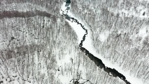 Hermoso Invierno Niseko — Vídeos de Stock