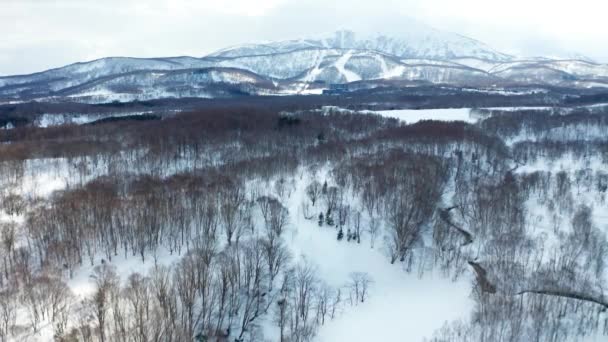 Prachtige Winter Niseko — Stockvideo