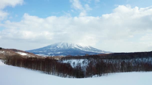 Hermoso Invierno Niseko — Vídeos de Stock