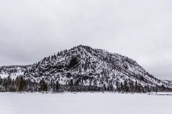 Yellowstone Nationalpark Winter — Stockfoto