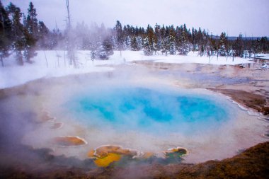 Kışın Yellowstone Milli Parkı